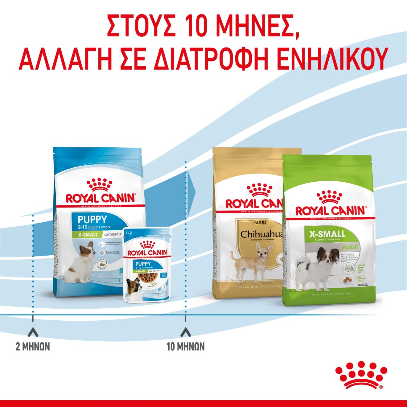 PUPPY - X-SMALL