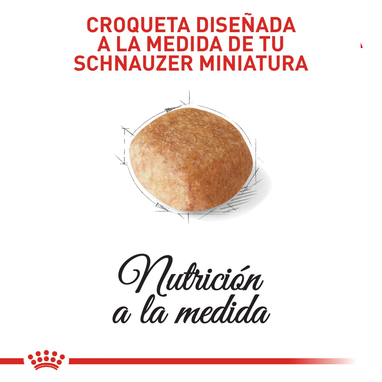 Schnauzer Miniatura Adulto