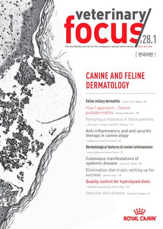  Canine and feline dermatology