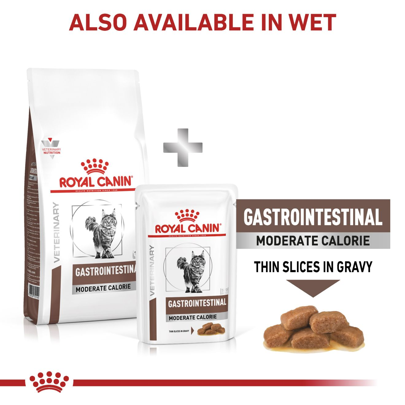 GASTROINTESTINAL MODERATE CALORIE per gatti