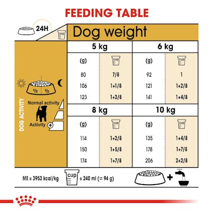 BHN-JackRussell-CV-Eretailkit-5