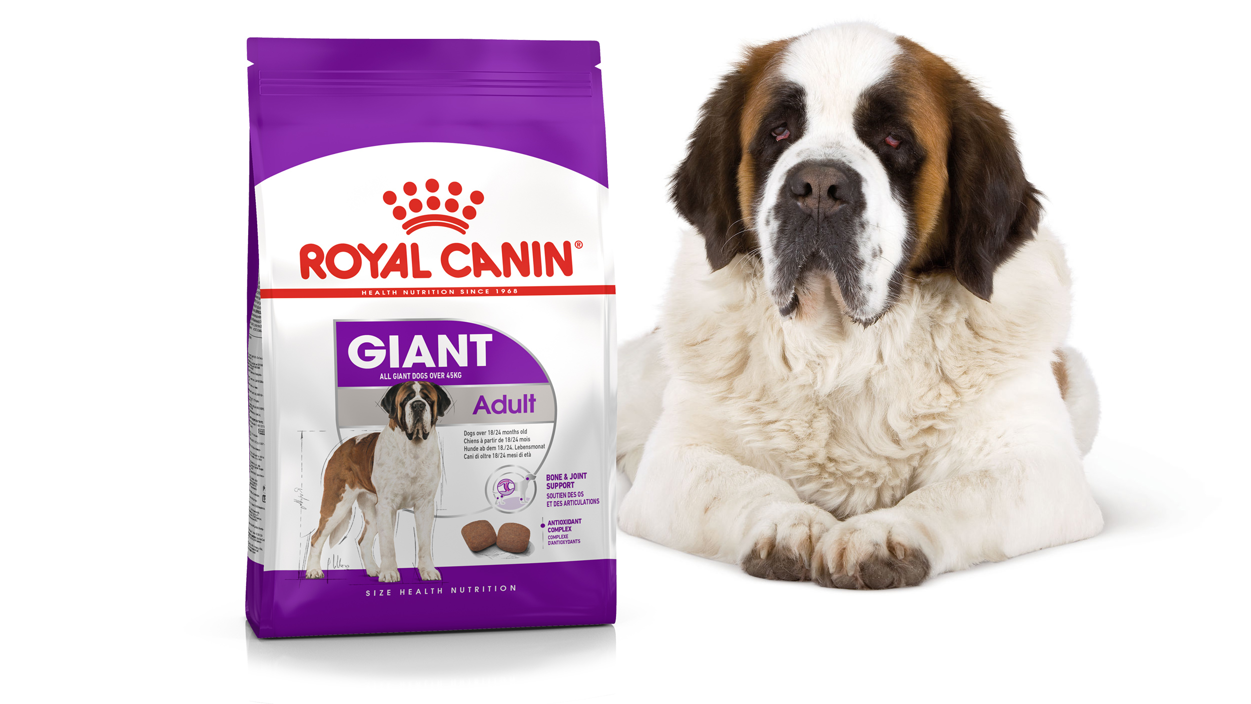 Royal canin for outlet saint bernard