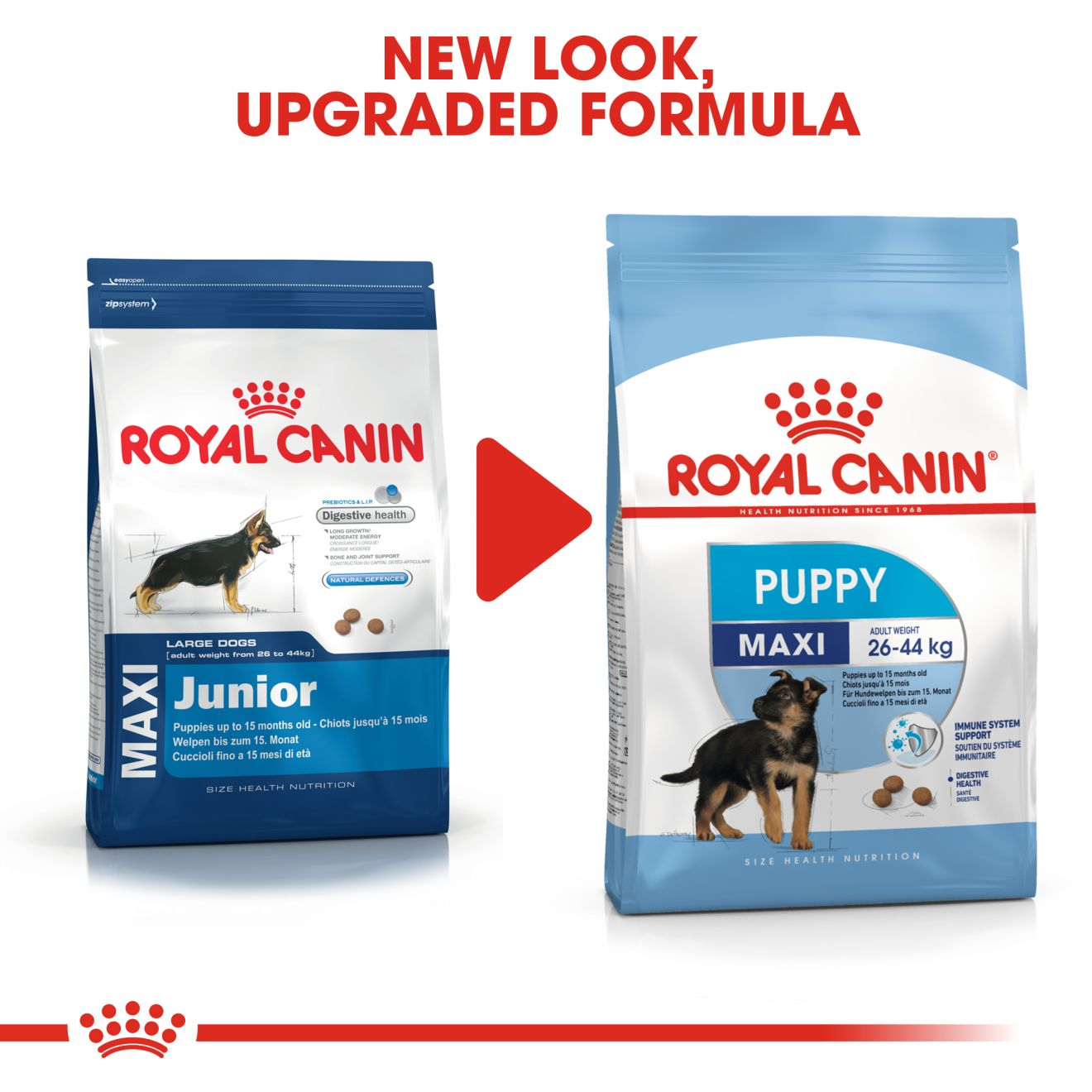 royal canin maxi puppy active professional