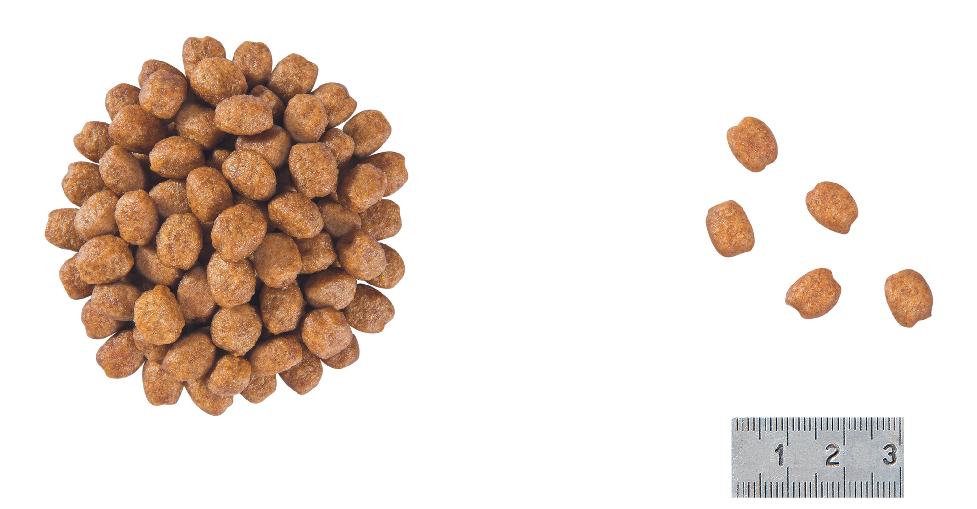 royal canin stage 2 high calorie