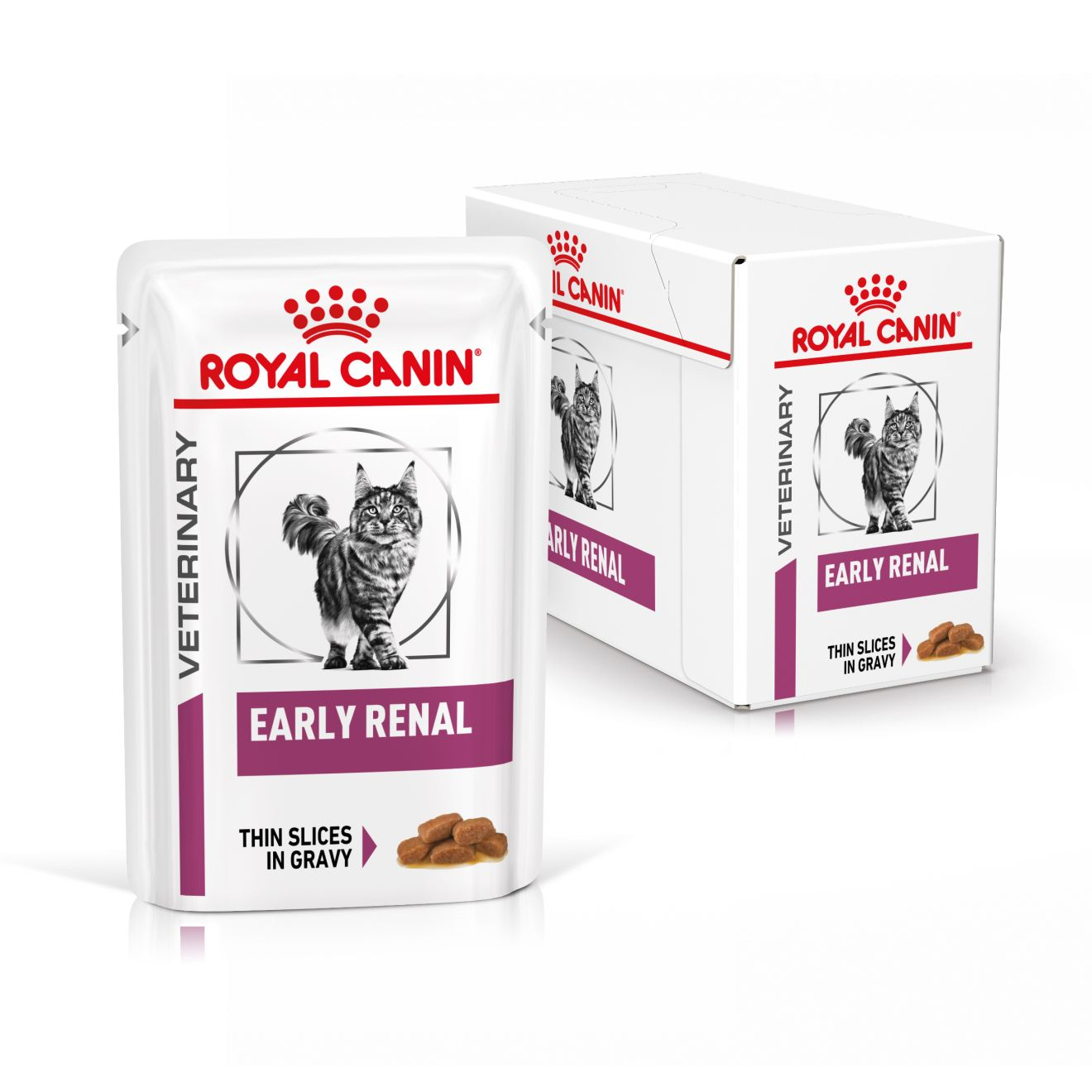 Early Renal fatias finas com molho
