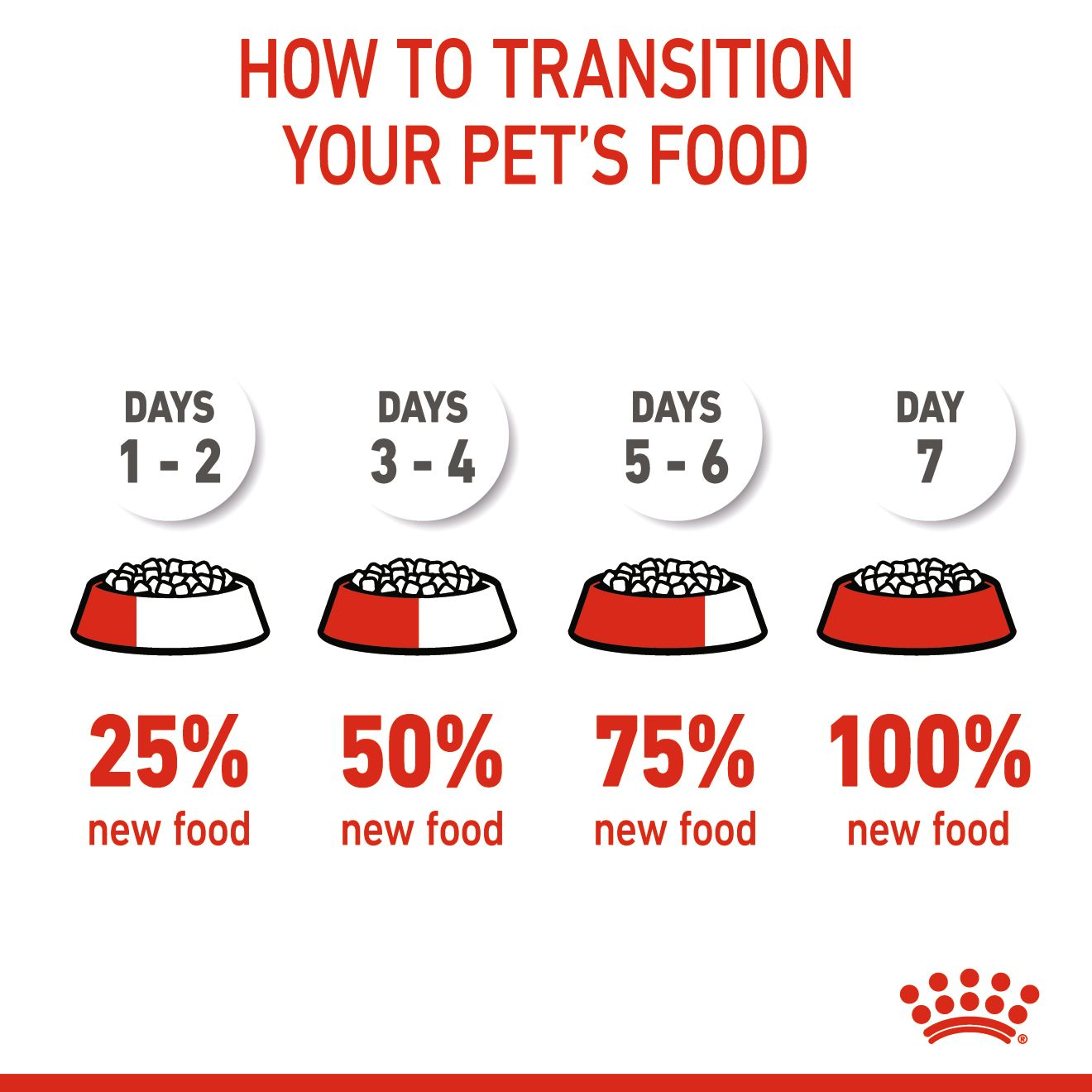 What age do you switch from outlet puppy food to dog food