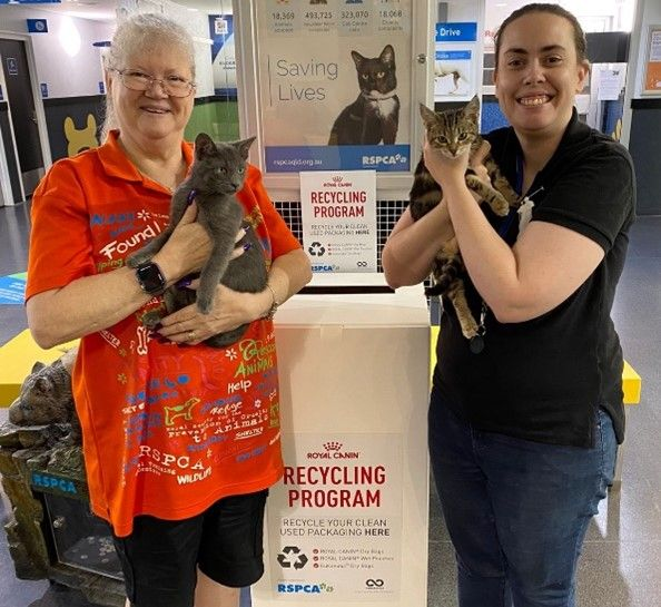 Staff holding up kittens