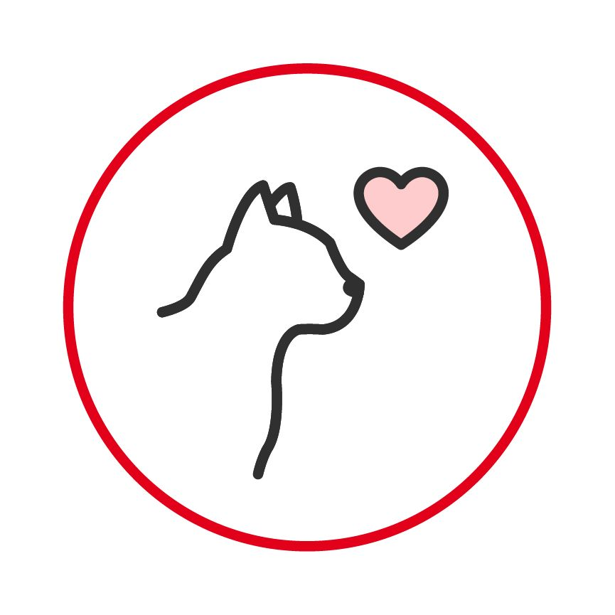 Illustration of a cat head