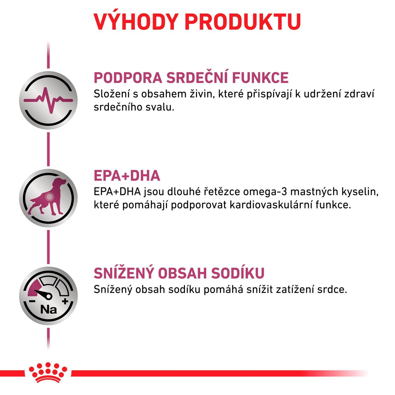 VHN Dog Cardiac