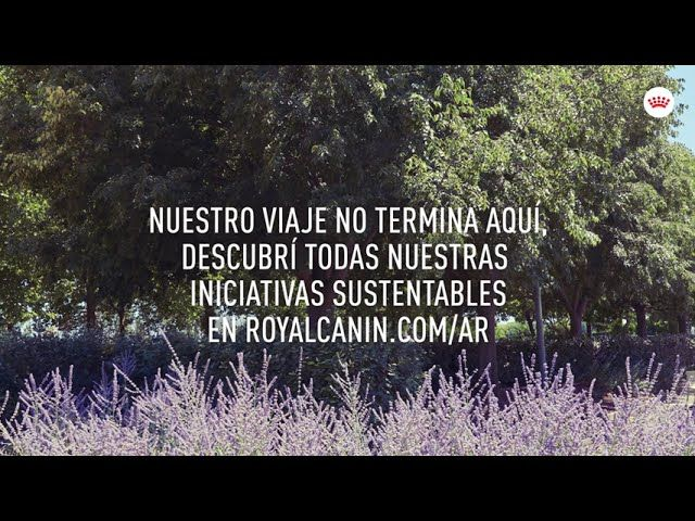 Royal Canin | Sustentabilidad