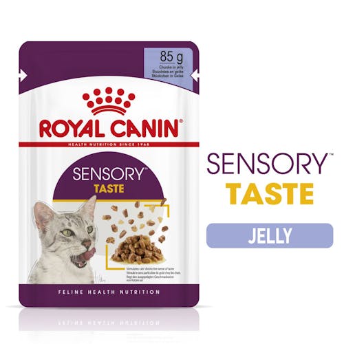Sensory Taste Chunks In Jelly