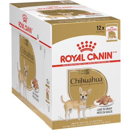 Pouch Chihuahua caja