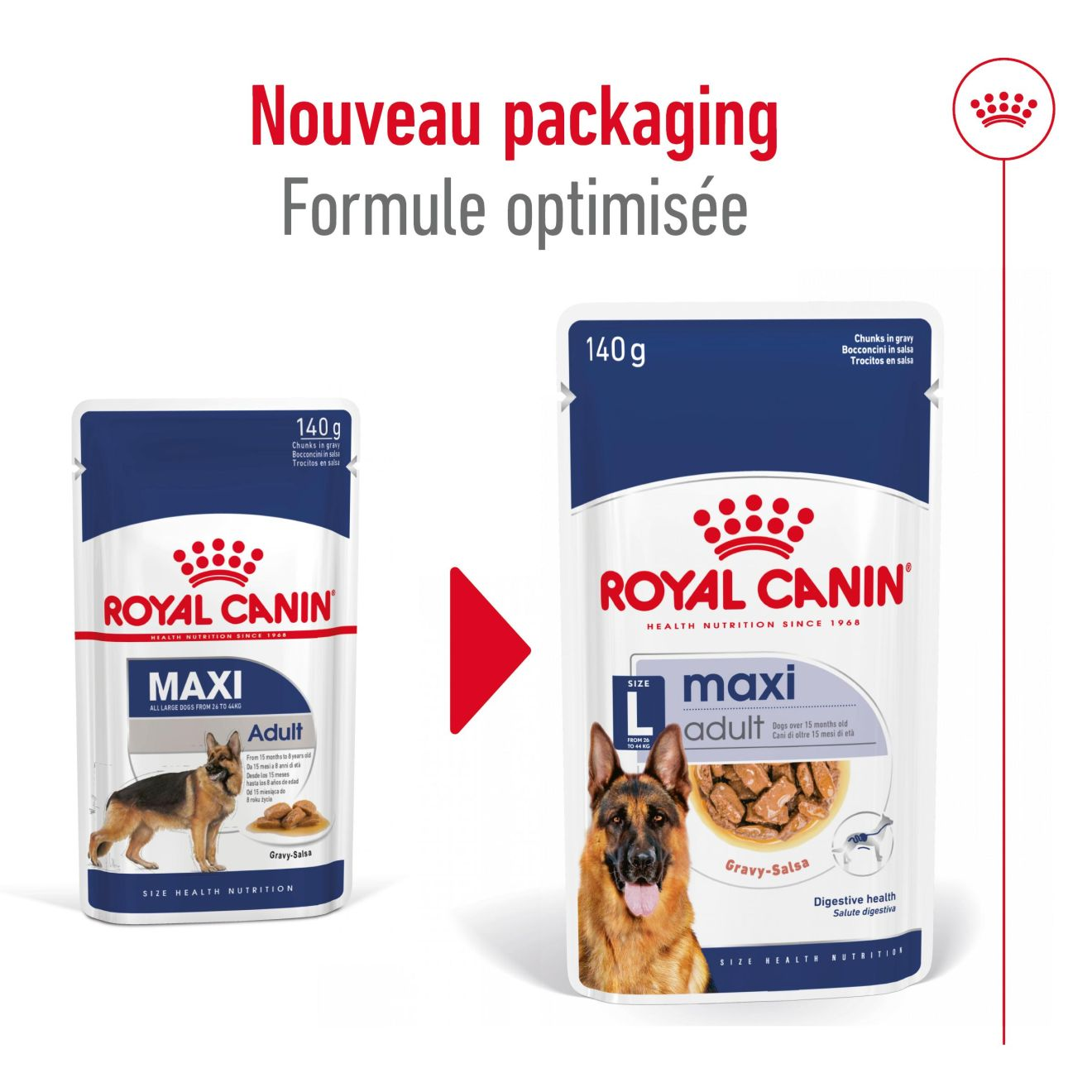Maxi Adult en sauce