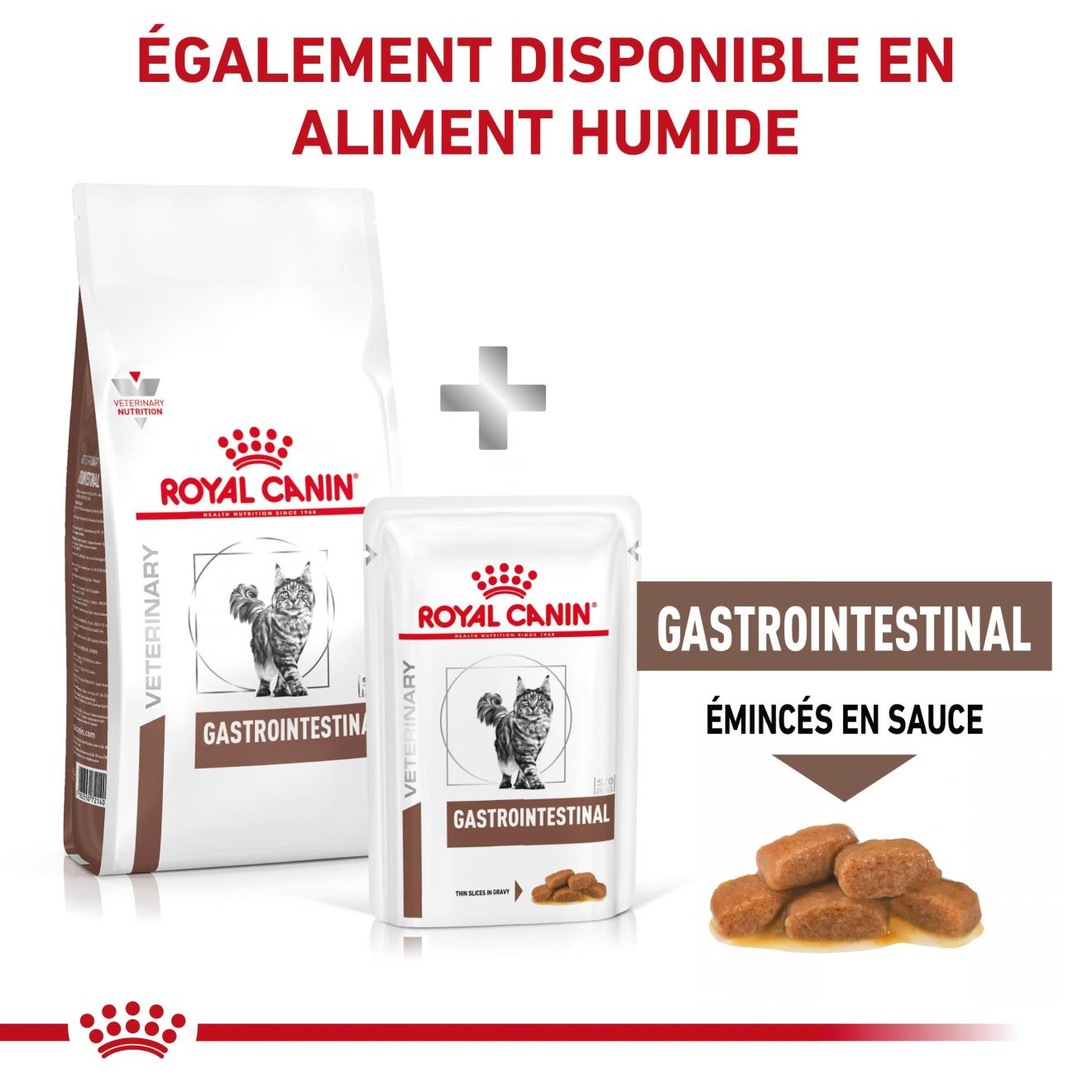 Gastrointestinal