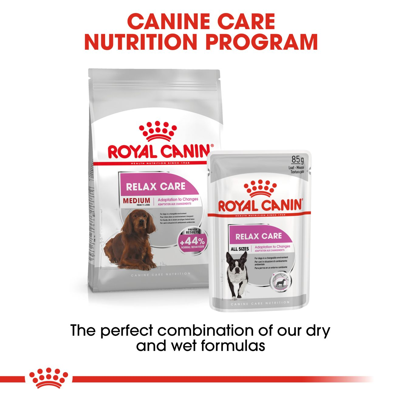 Royal canin feeding program sale