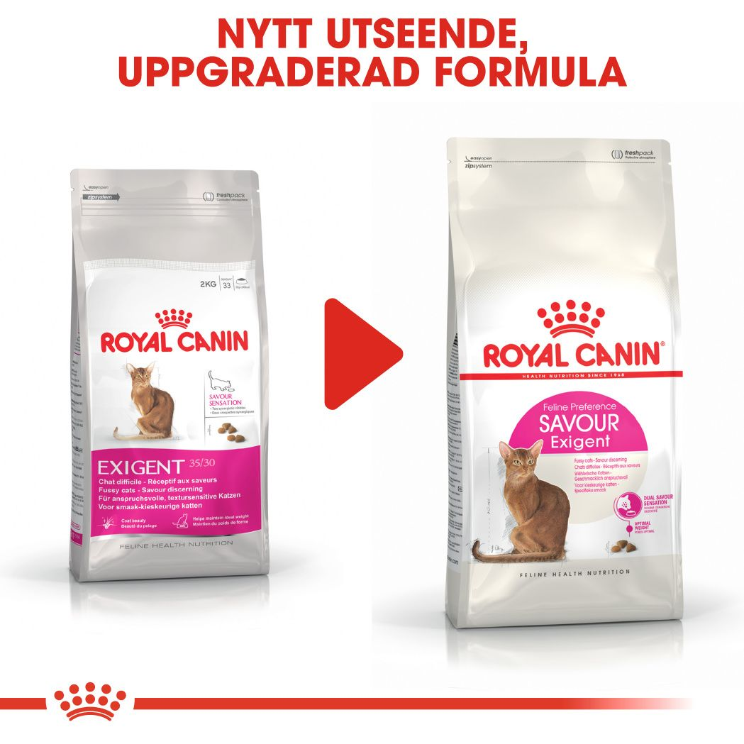 Savour Exigent - kattmat torrfoder | Royal Canin Shop | Royal Canin SE