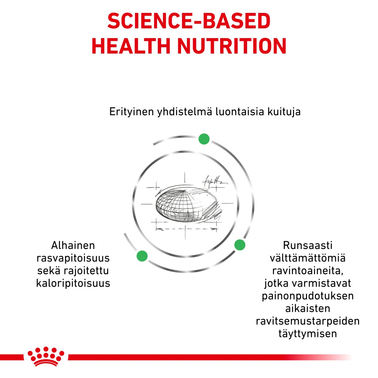 Weight Management Satiety 