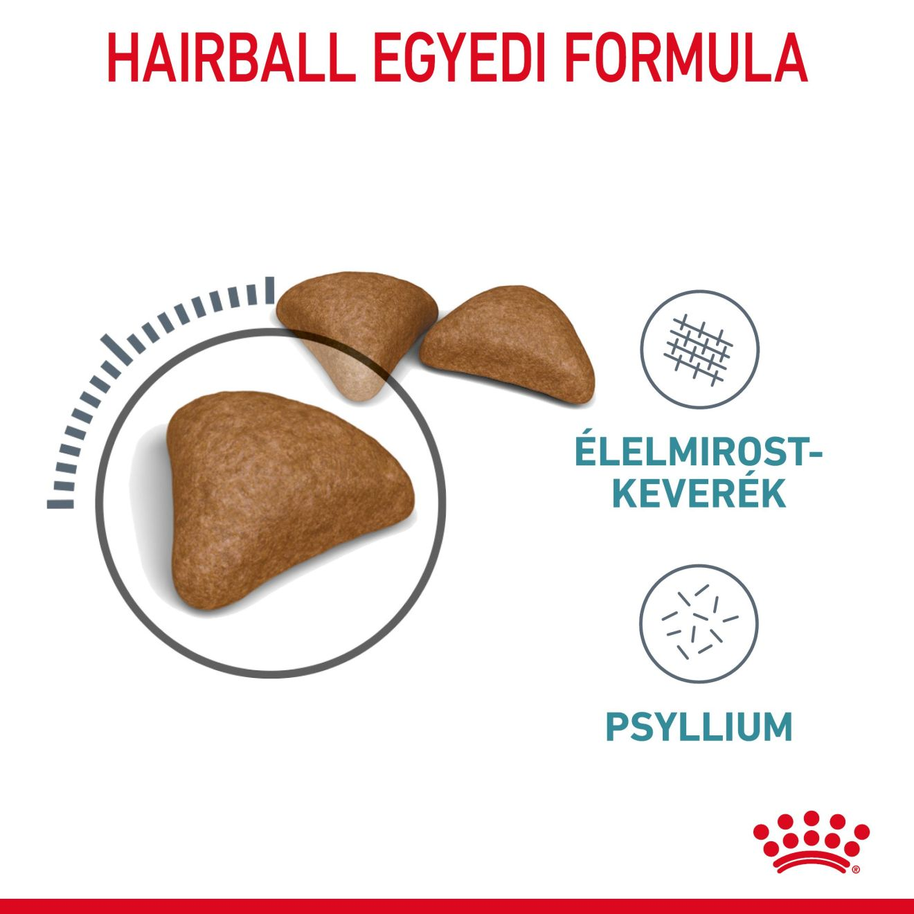 Hairball Care