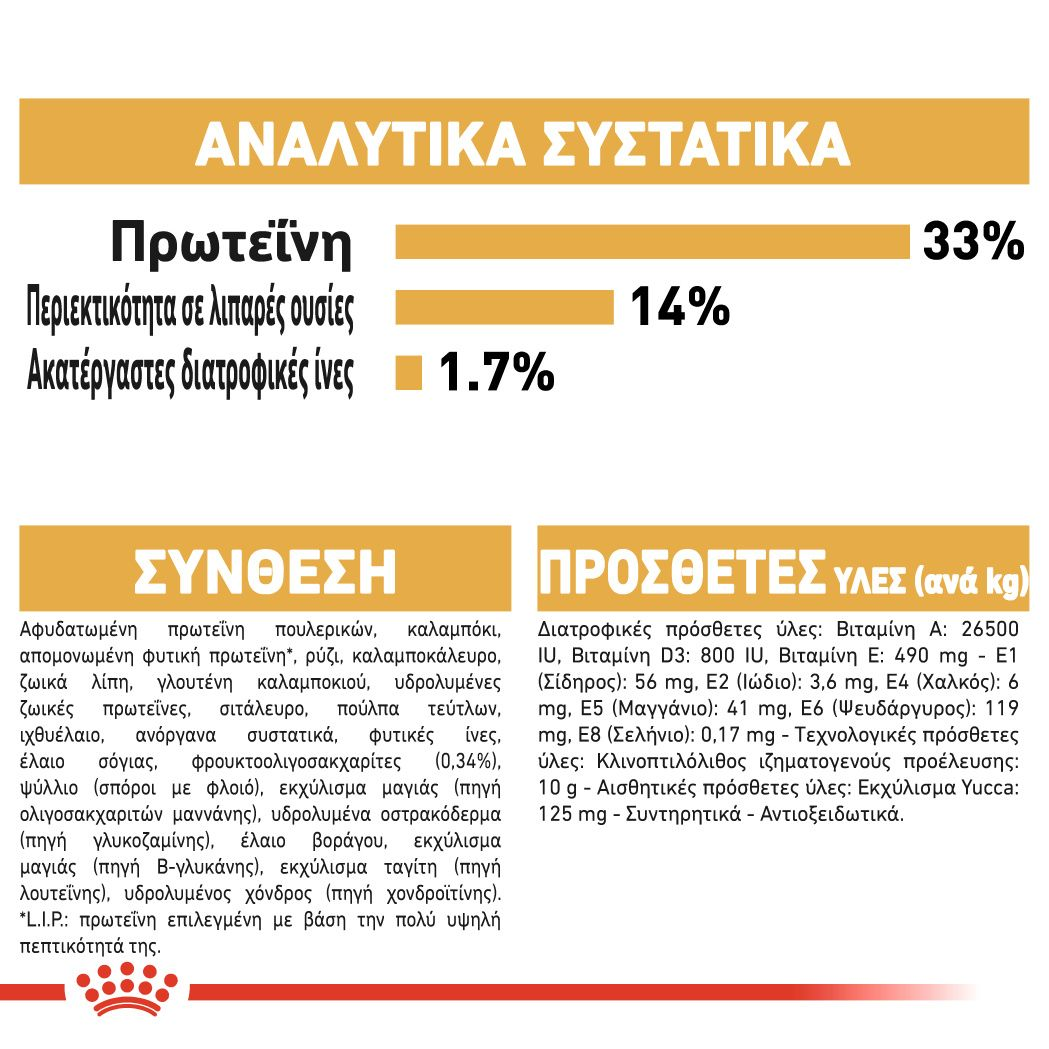 Labrador Retriever Puppy