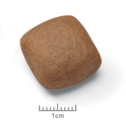 Medium Maxi Giant POS 2012 Kibble Pictures - GI-JU-SHN-CROC-1CM