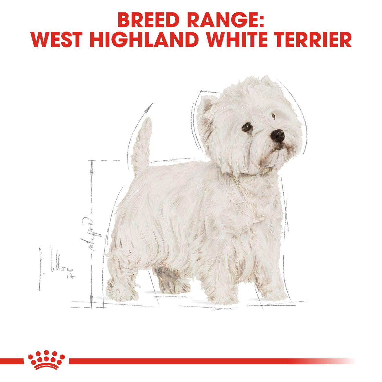 อาหารสุนัขโต พันธุ์เวสต์ ไฮต์แลนด์ ไวต์ เทอร์เรีย ชนิดเม็ด (WEST HIGHLAND WHITE TERRIER ADULT)