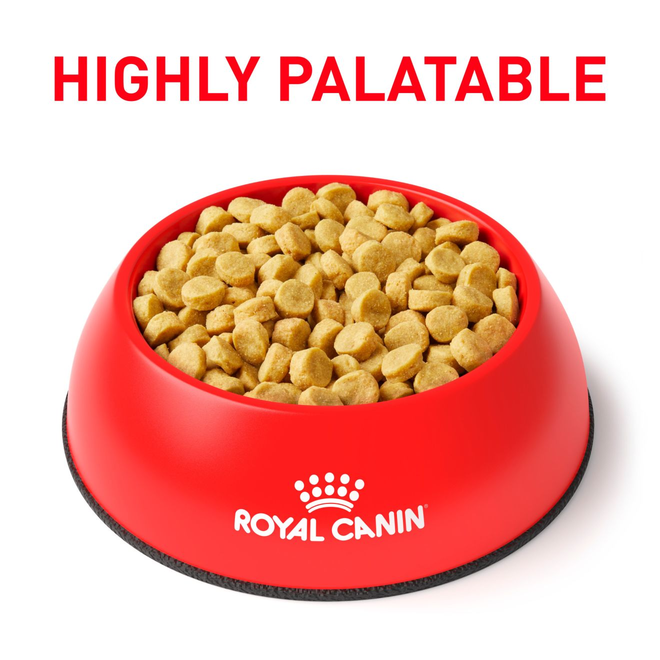 Royal canin hotsell hp dog food