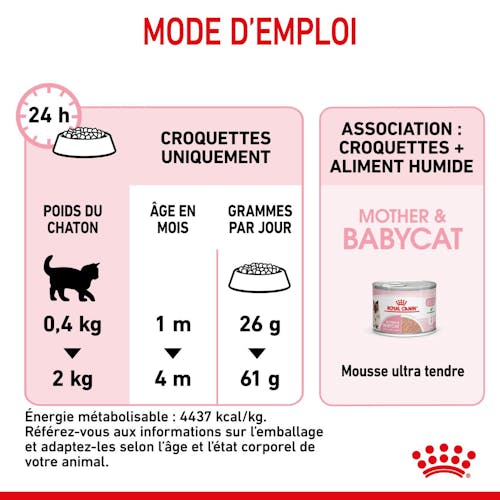 Mother & Babycat pour chatte et chaton