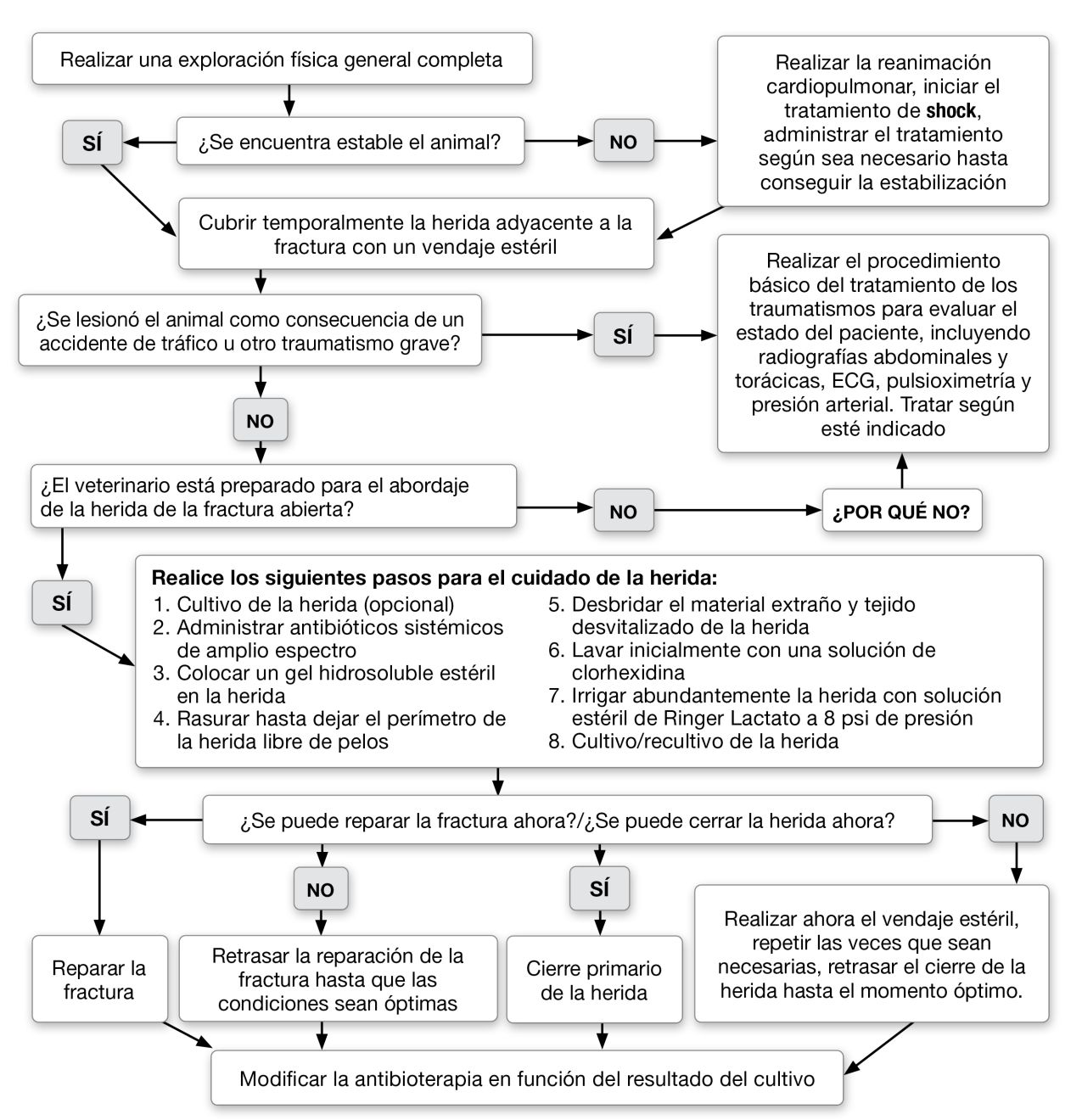 Figura 1. Tratamiento de urgencia de las fracturas abiertas.