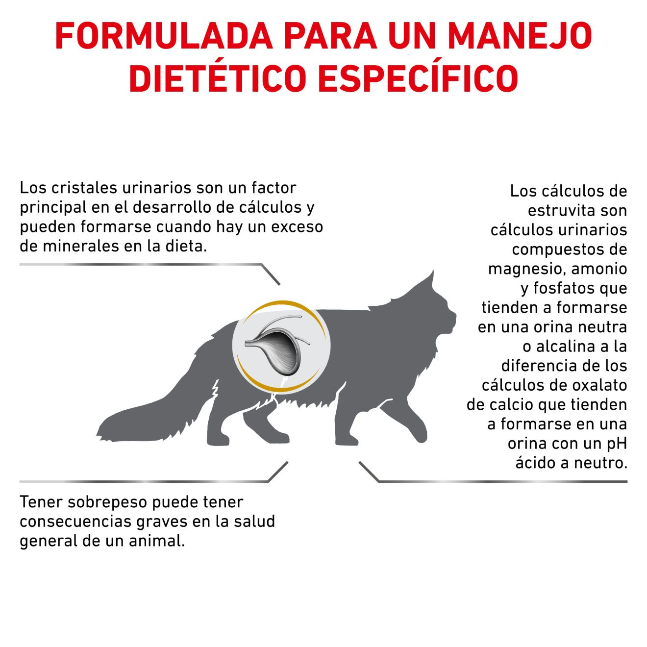 Urinary S/O Moderate Calorie