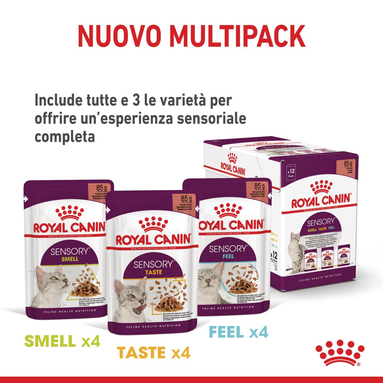 SENSORY™ FEEL straccetti in gelatina