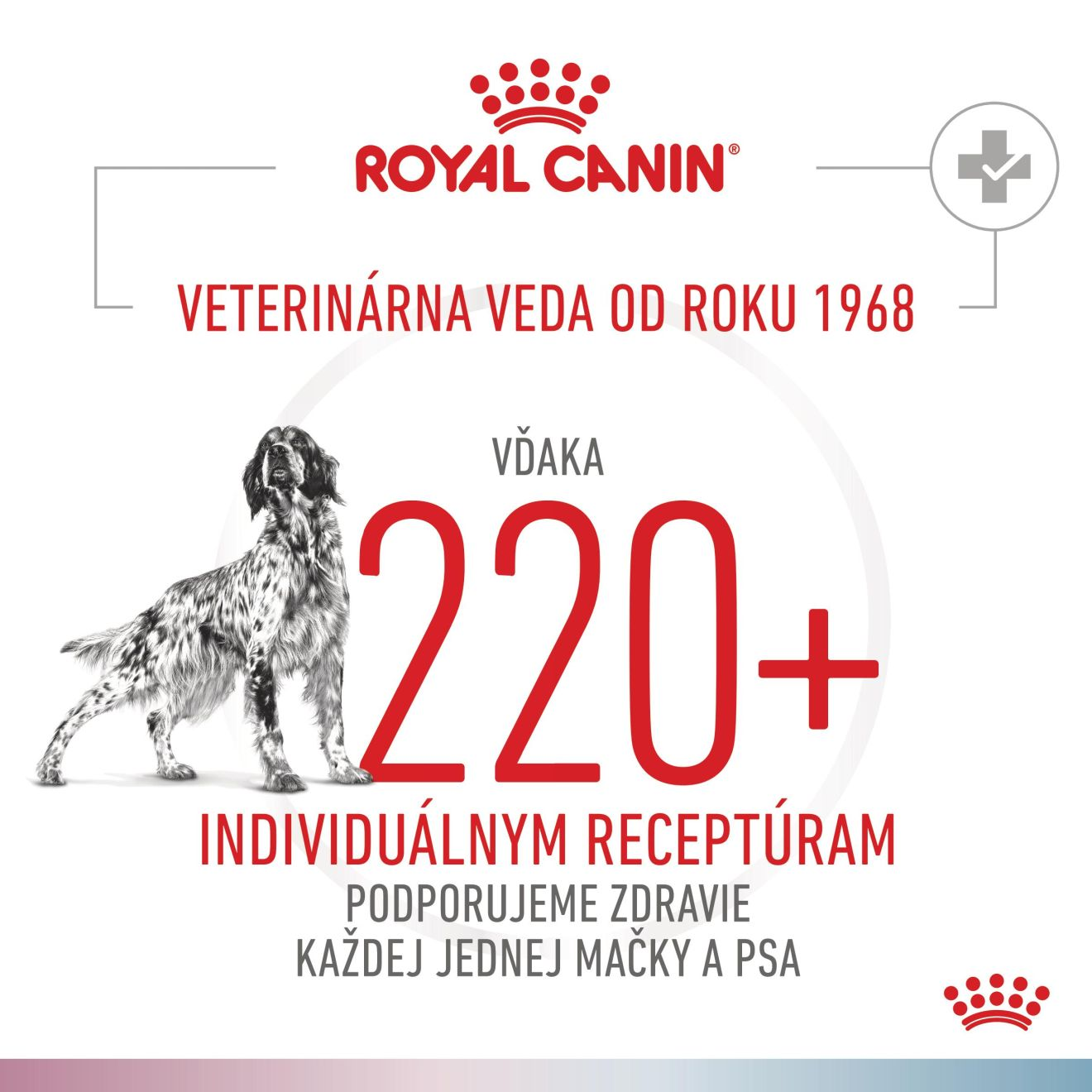 VHN Dog CA Renal-Hypoallergenic Small