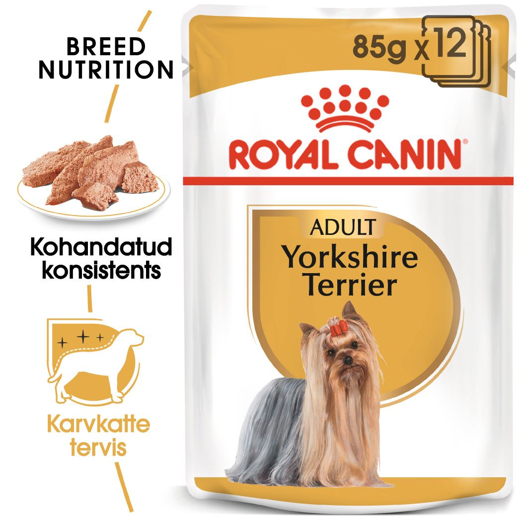 Royal Canin Yorkshire Terrier konserv