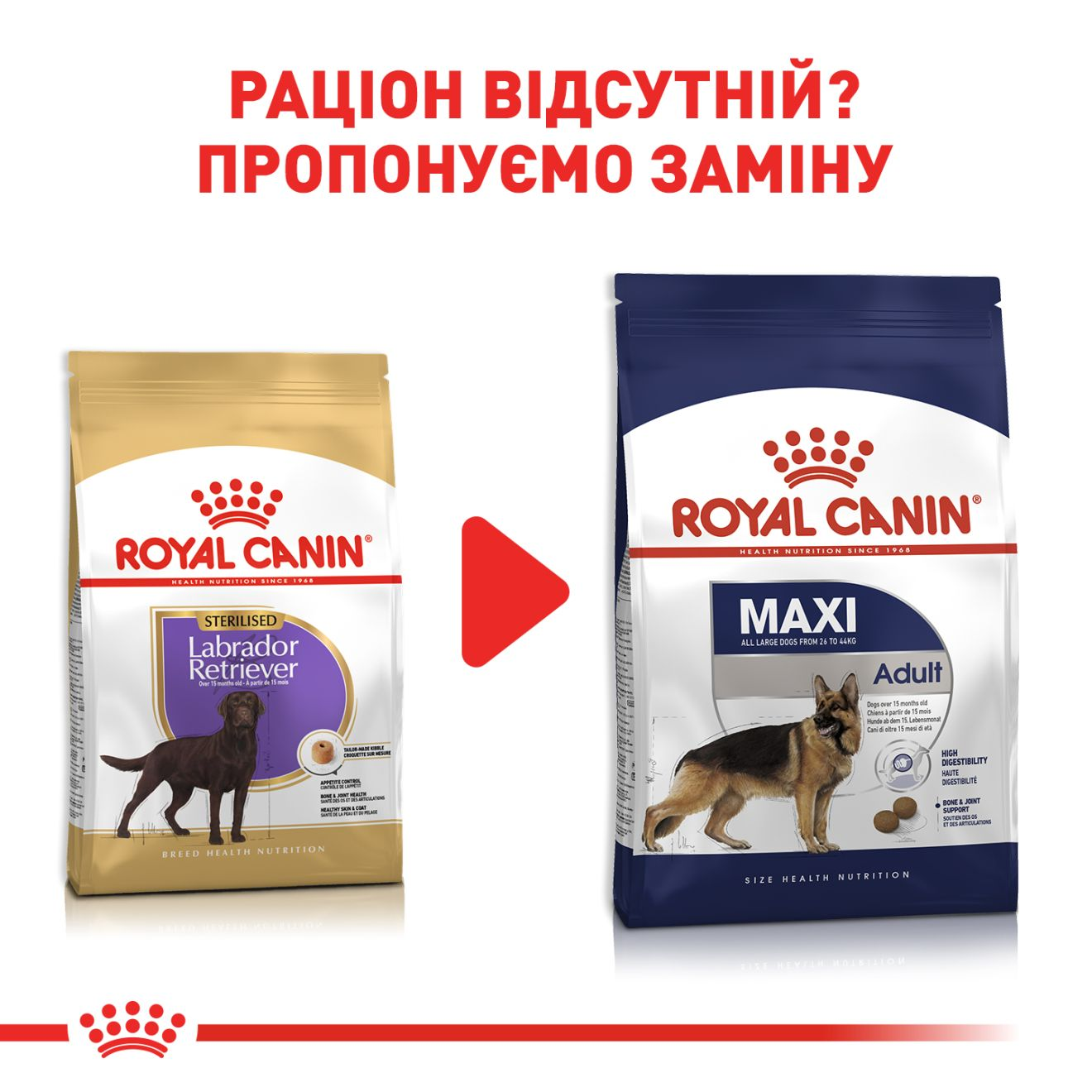 Royal canin labrador store sterilized