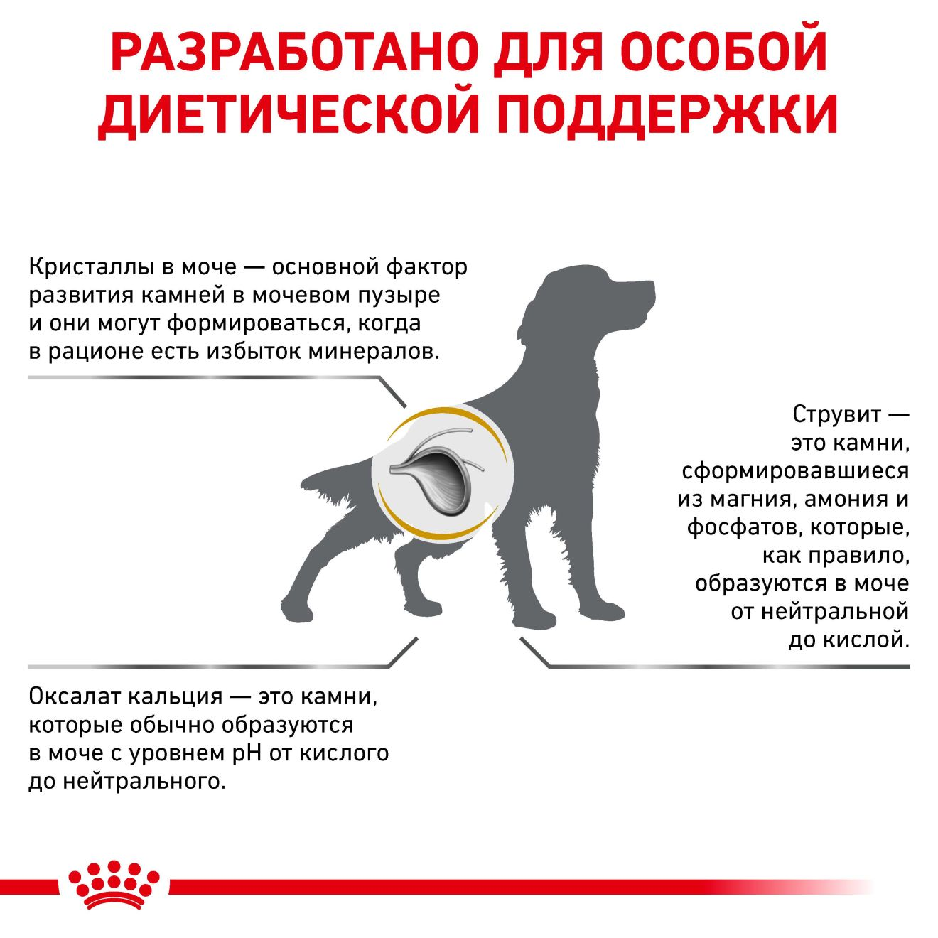 Urinary S/O | Royal Canin UA