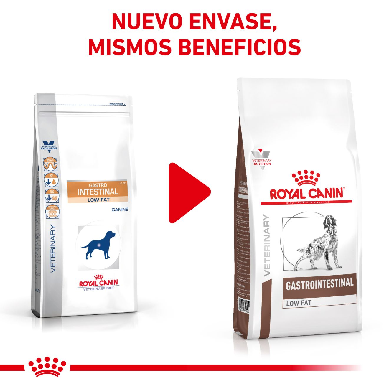 Gastrointestinal Low Fat Royal Canin ES