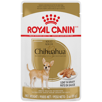 Pouch Chihuahua Emblematic