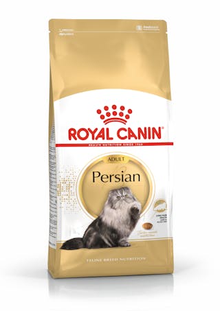 Persian Adult
Mèo Ba Tư Trưởng Thành