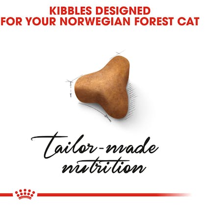 Norwegian forest cat royal canin best sale