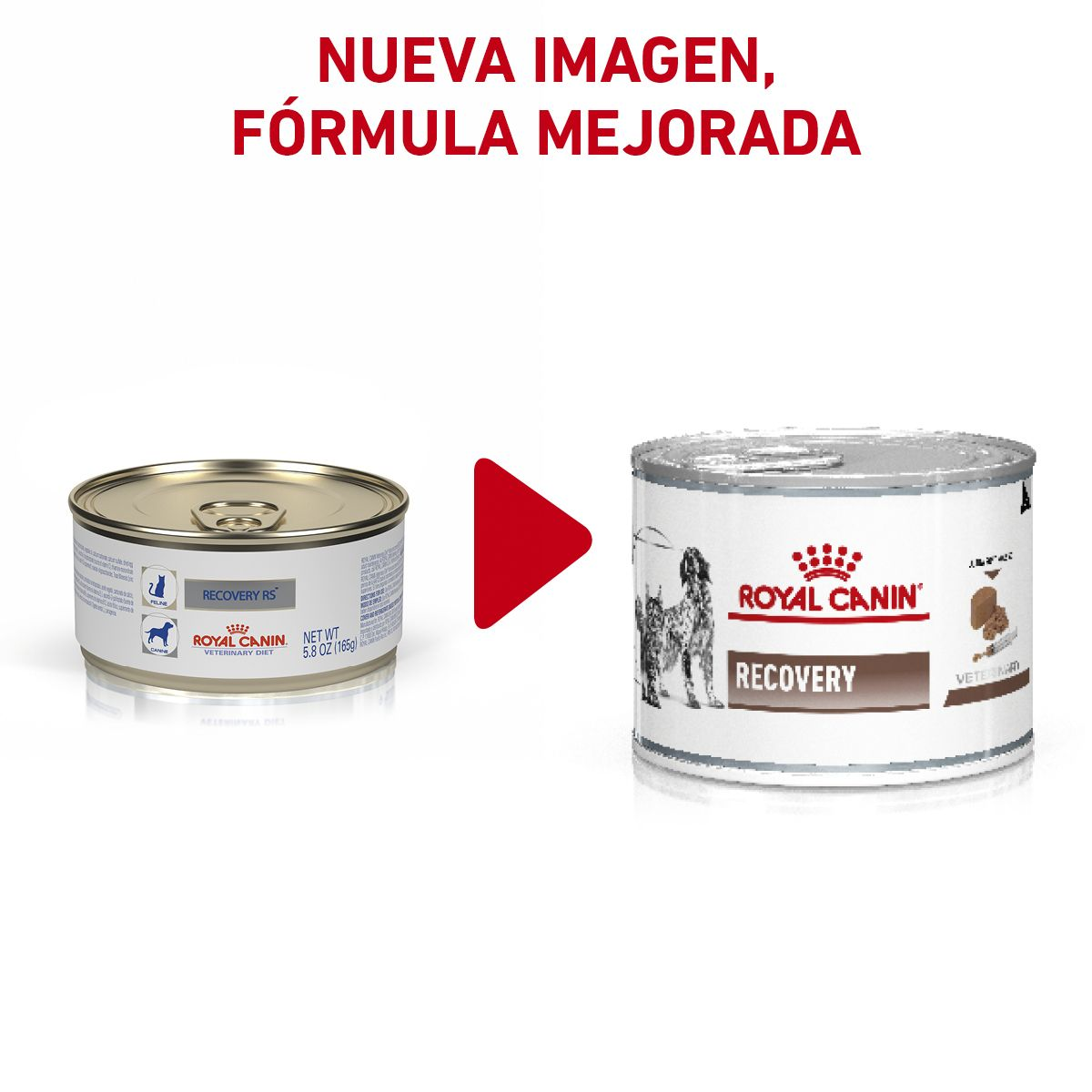 Recovery lata | Royal Canin MX
