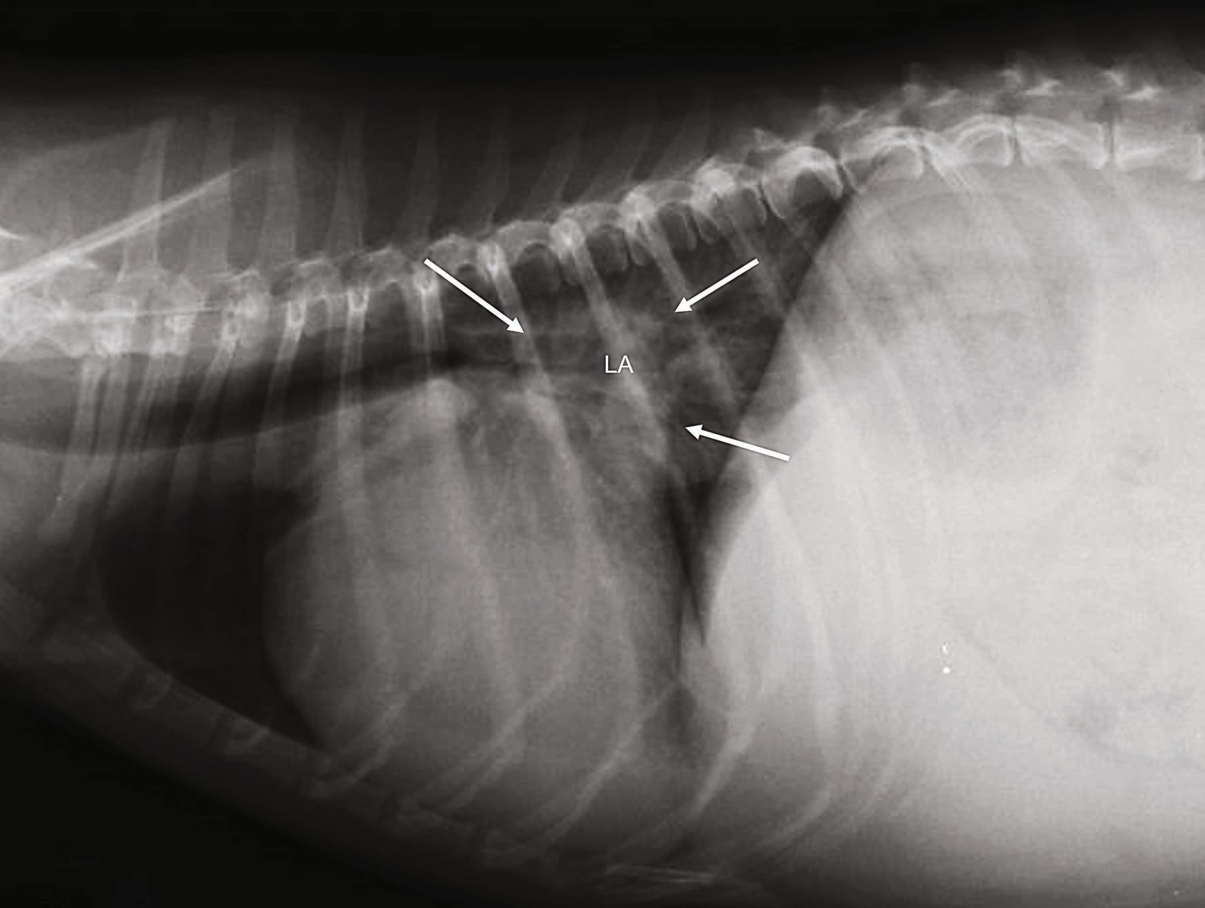 a