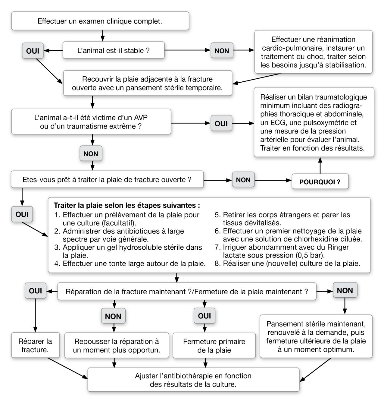 Figure 1.Traitement d’urgence des fractures ouvertes.