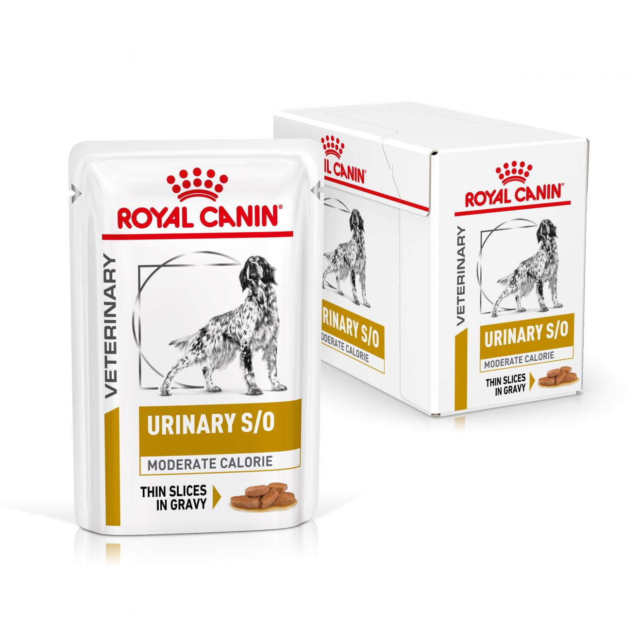 bryder daggry Hysterisk morsom omgive Urinary S/O Moderate Calorie Bidder i sovs | Royal Canin US