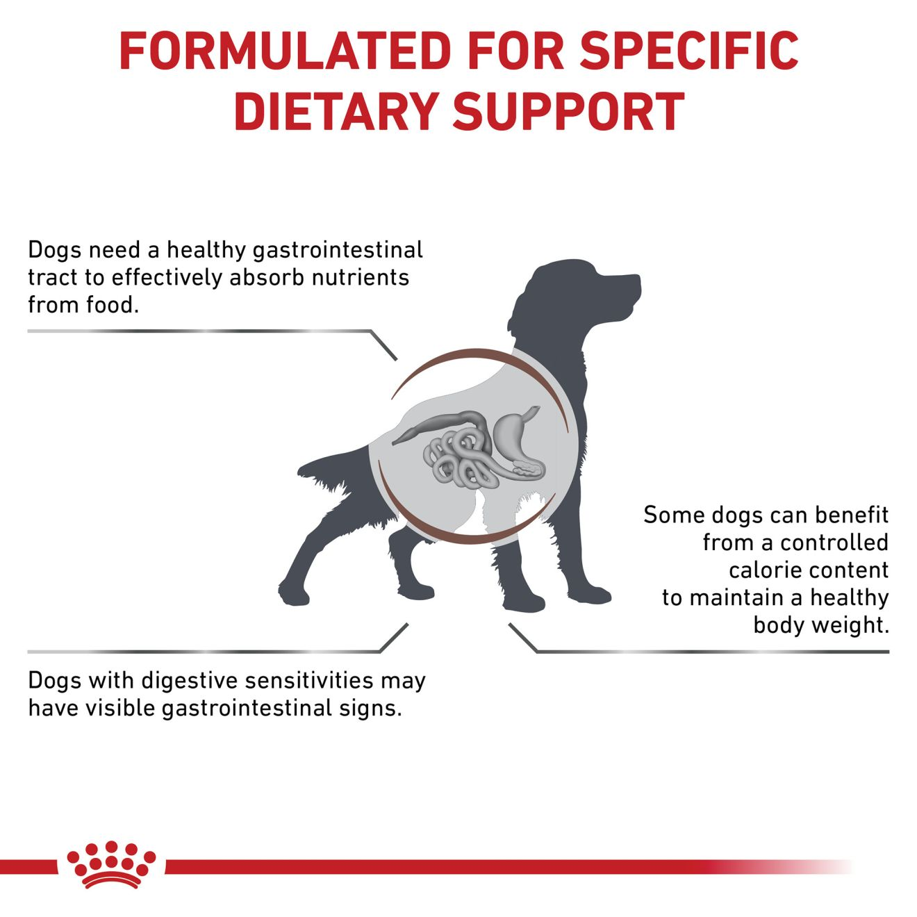 Royal canin gastrointestinal moderate store calorie dry dog food