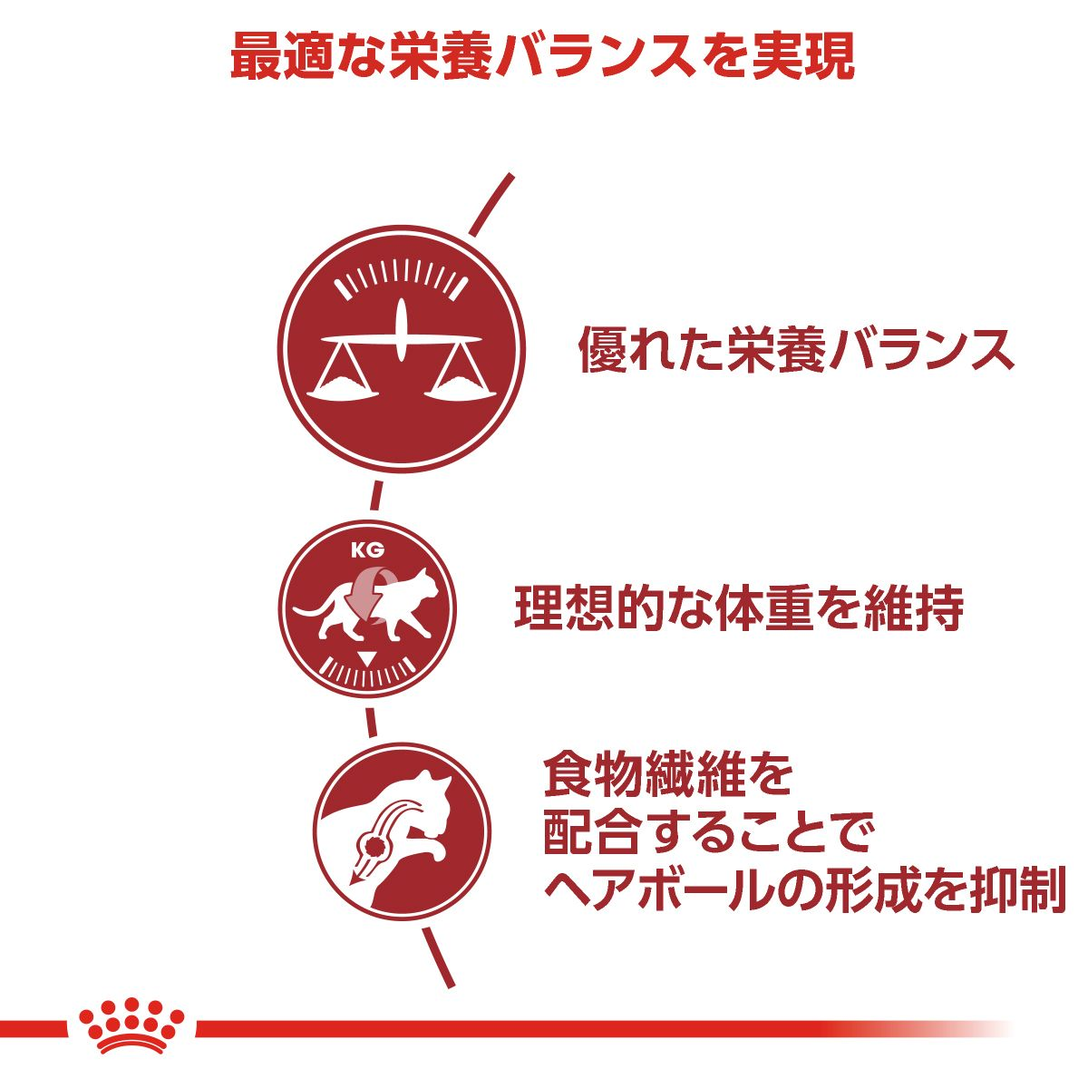 フィット