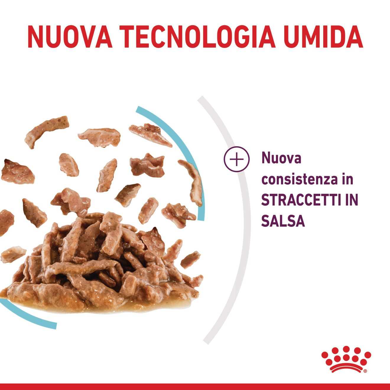 SENSORY™ FEEL straccetti in salsa