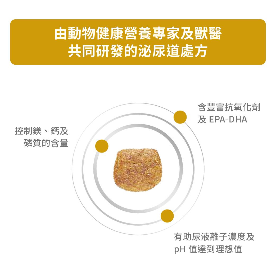 成犬泌尿道處方