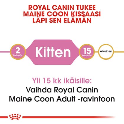 RC-FBN-KittenMaineCoon-CV1_002_FINLAND-FINNISH