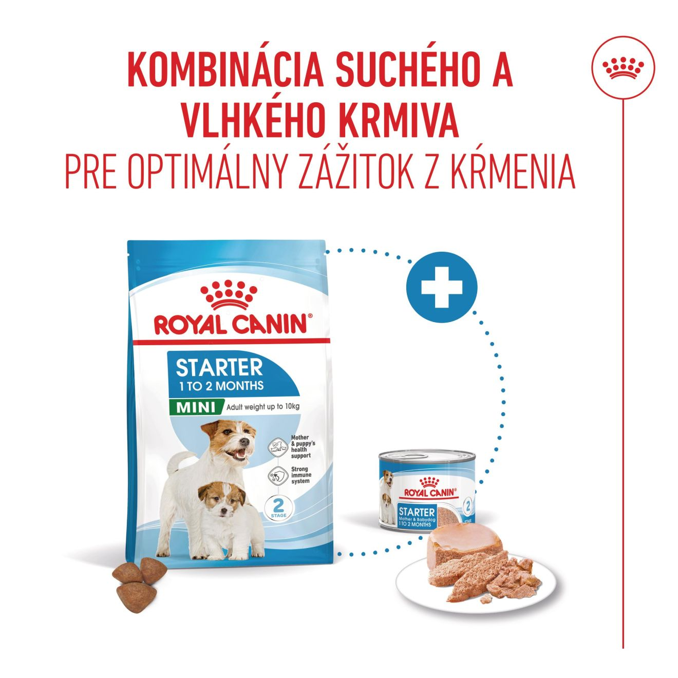 STARTER Mother & Babydog – Ultra soft mousse