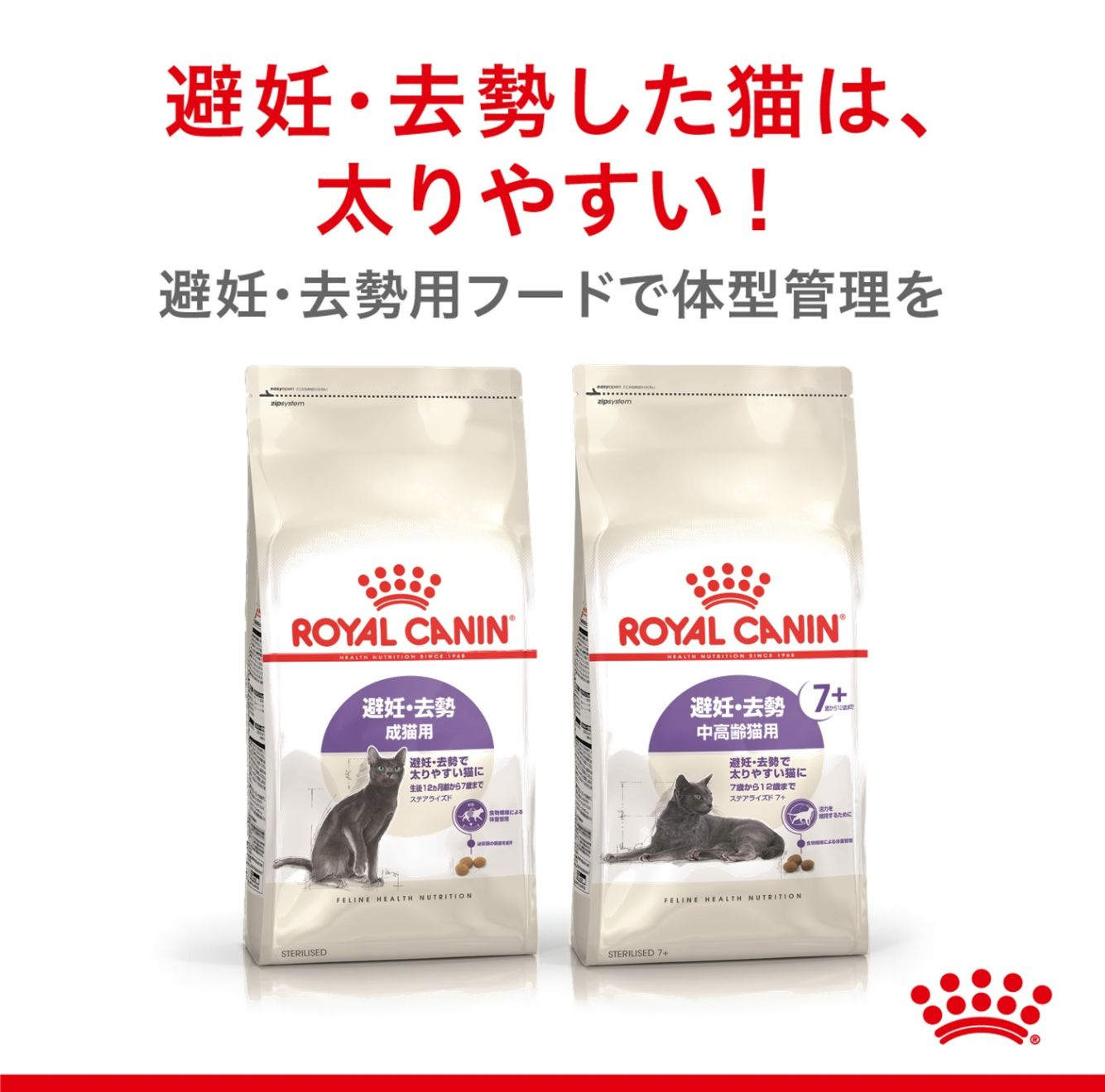  CANIN ステアライズ　避妊・去勢中高齢猫用(7歳～12歳) Amazon | ロイヤルカナン ステアライズド 7+ 避妊・去勢 中高齢