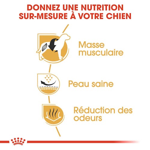 Bouledogue Français Adulte Boutique Royal Canin